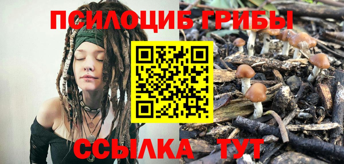 Галлюциногенные грибы мицелий Выборг