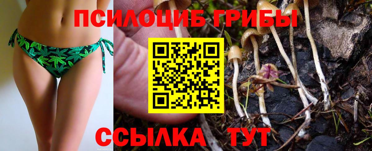 Выборг  Псилоцибиновые грибы прущие грибы  Галлюциногенные грибы Psilocybine cubensis  Вход с VPN 