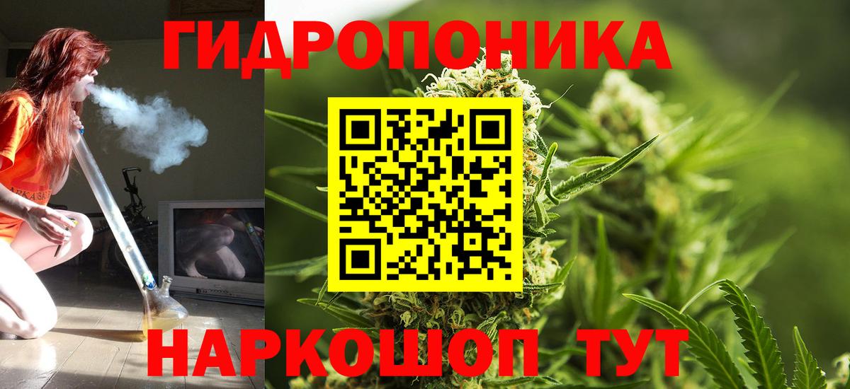 Шишки марихуана Ganja Выборг